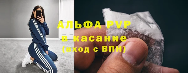 гидра Арсеньев