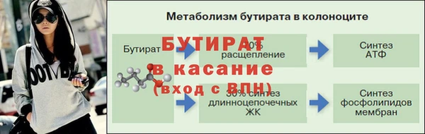 гидра Арсеньев