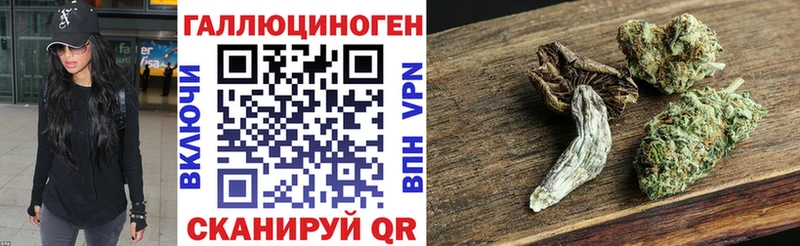 Галлюциногенные грибы Psilocybe  Балей 